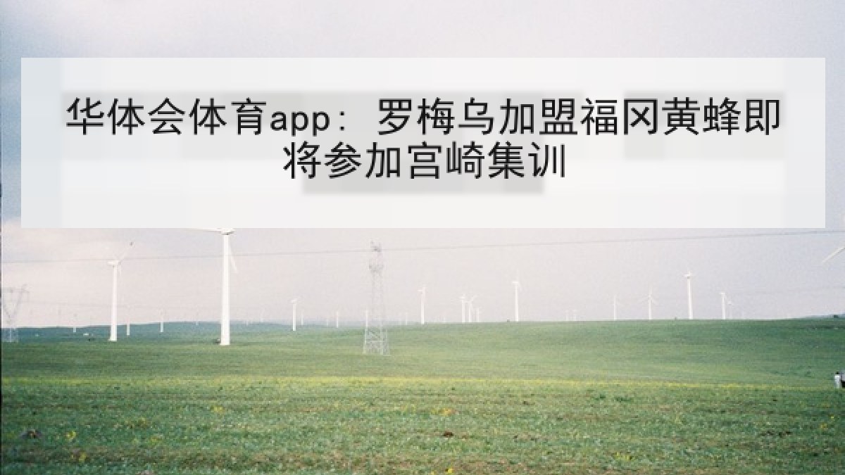 华体会体育app: 罗梅乌加盟福冈黄蜂即将参加宫崎集训
